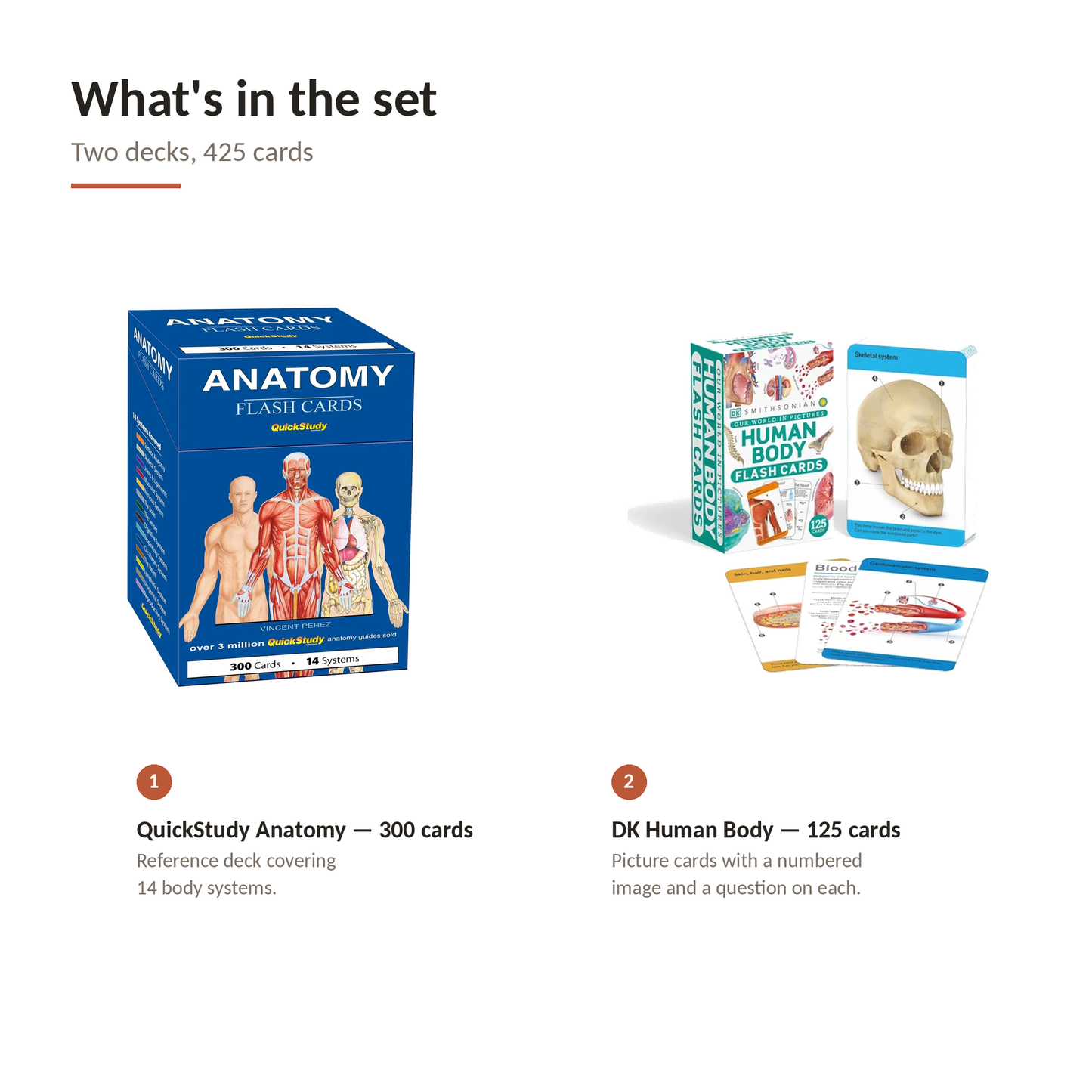 Anatomy Double Deck – DK Visual Learning Flash Cards + QuickStudy Anatomy Flash Cards | 2-Deck Study Set