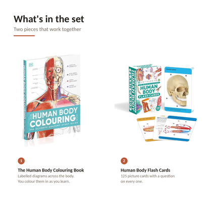 Anatomy Study Duo – Human Body Coloring Book + Anatomy Flash Cards | 2-Piece Med & Nursing Student Set