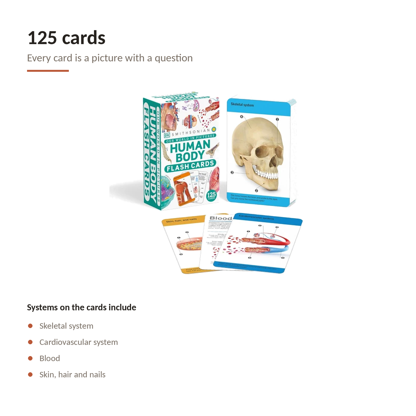 Anatomy Study Duo – Human Body Coloring Book + Anatomy Flash Cards | 2-Piece Med & Nursing Student Set