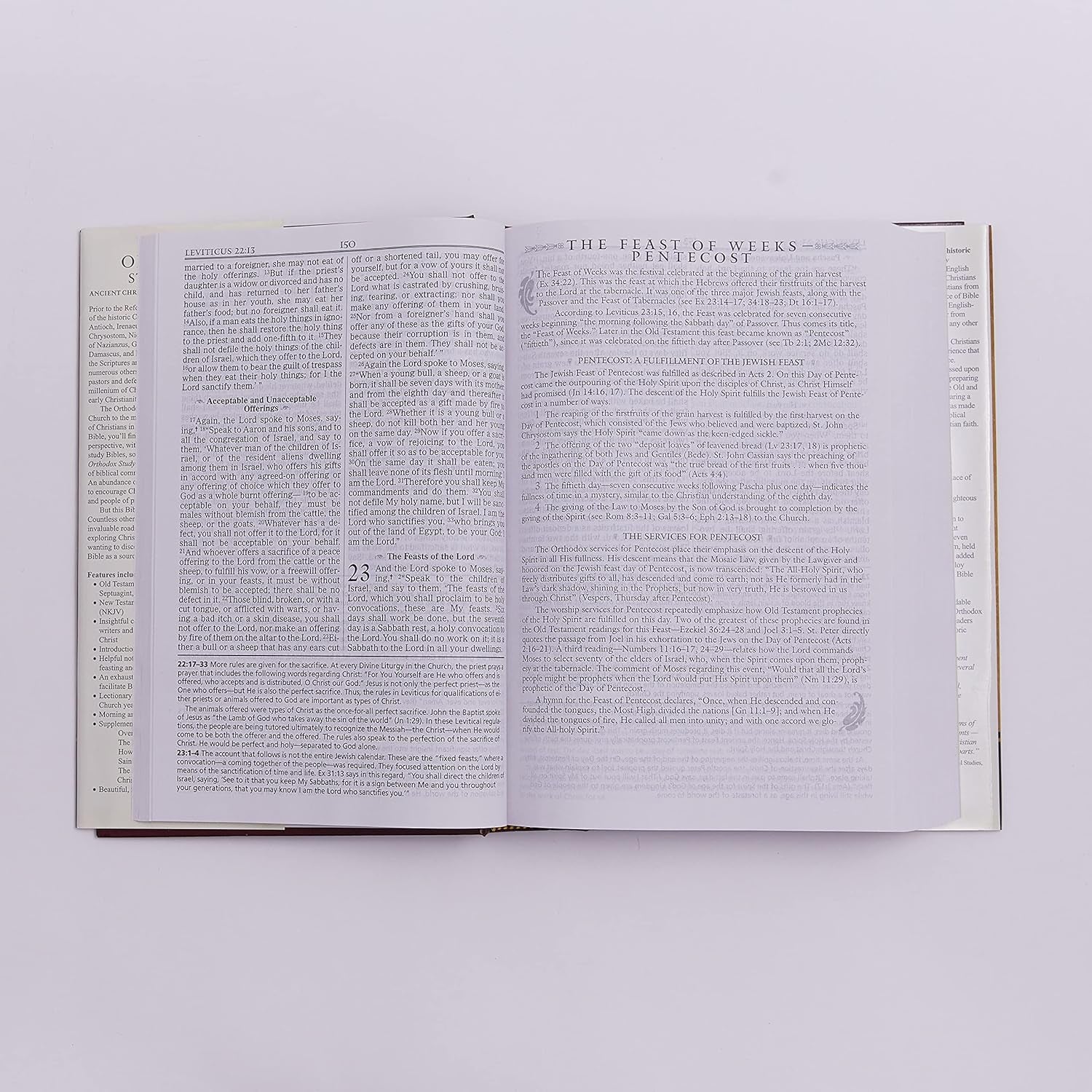 The Orthodox Study Bible, Hardcover: Ancient Christianity Speaks to Today'S World