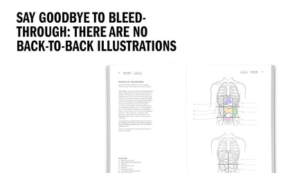 Anatomy coloring book used for A&P self-testing and exam preparation