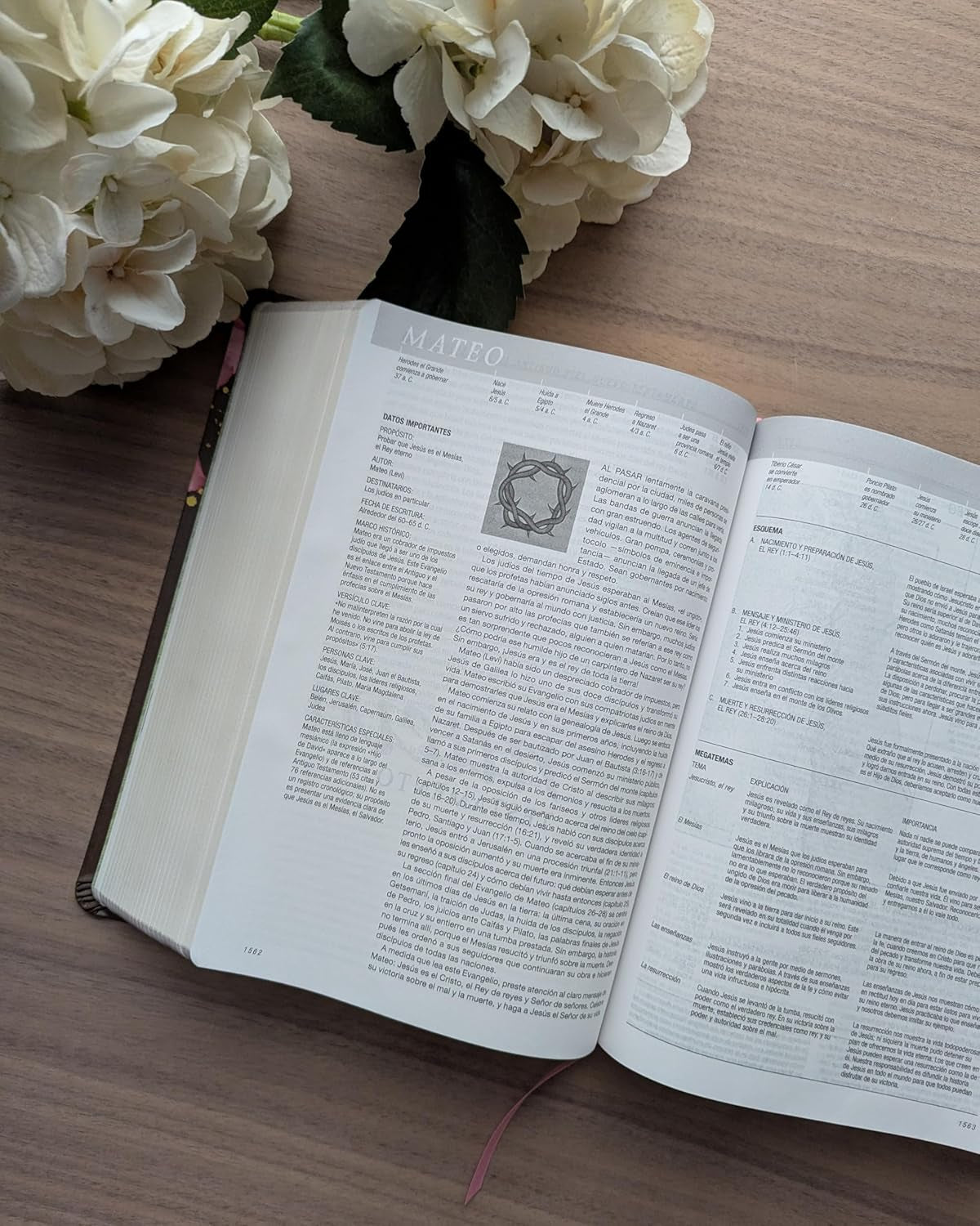 Biblia De Estudio Del Diario Vivir NTV (Sentipiel, Café/Rosa, Letra Roja) (Spanish Edition)