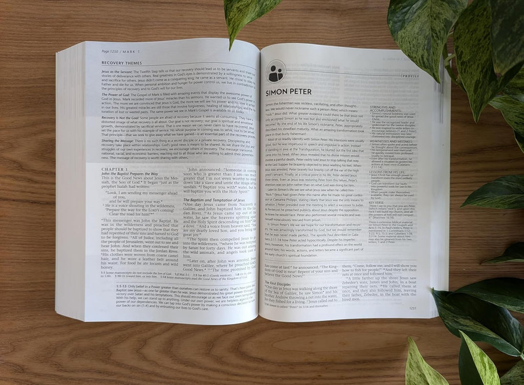 NLT Life Recovery Bible, Second Edition (Softcover): Addiction Bible Tied to 12 Steps of Recovery for Help with Drugs, Alcohol, Personal Struggles – with Meeting Guide