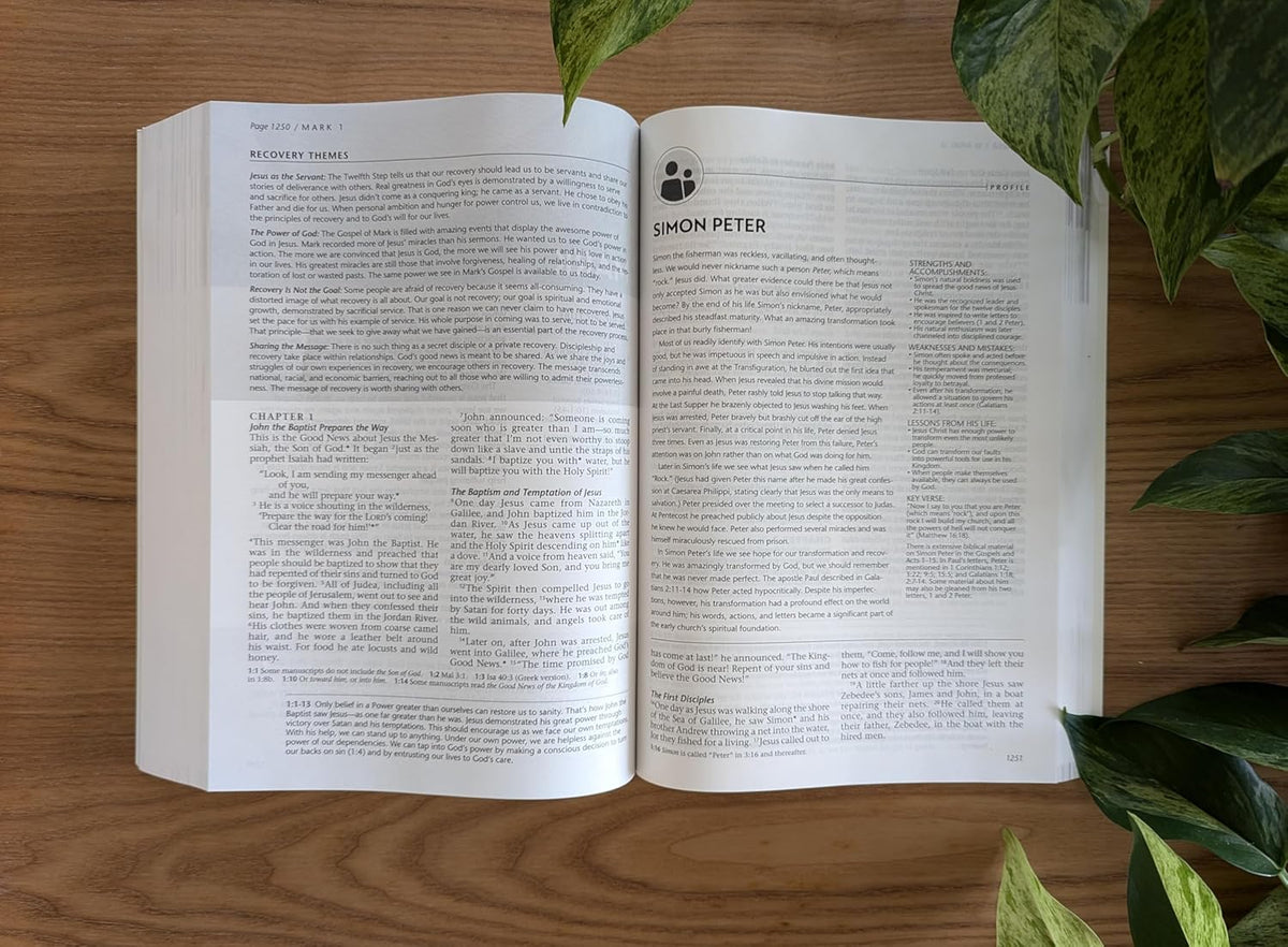 NLT Life Recovery Bible, Second Edition (Softcover): Addiction Bible Tied to 12 Steps of Recovery for Help with Drugs, Alcohol, Personal Struggles – with Meeting Guide