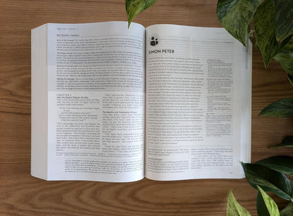 NLT Life Recovery Bible, Second Edition (Softcover): Addiction Bible Tied to 12 Steps of Recovery for Help with Drugs, Alcohol, Personal Struggles – with Meeting Guide
