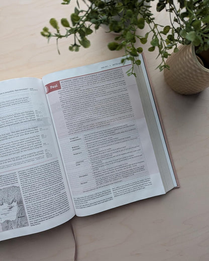 NLT Life Application Study Bible, Third Edition (Hardcover Cloth, Soft Pink, Red Letter)