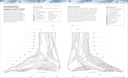 DK anatomy colouring book with labelled diagrams across the body's systems
