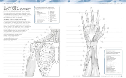 Labeled anatomy diagrams inside the coloring book
