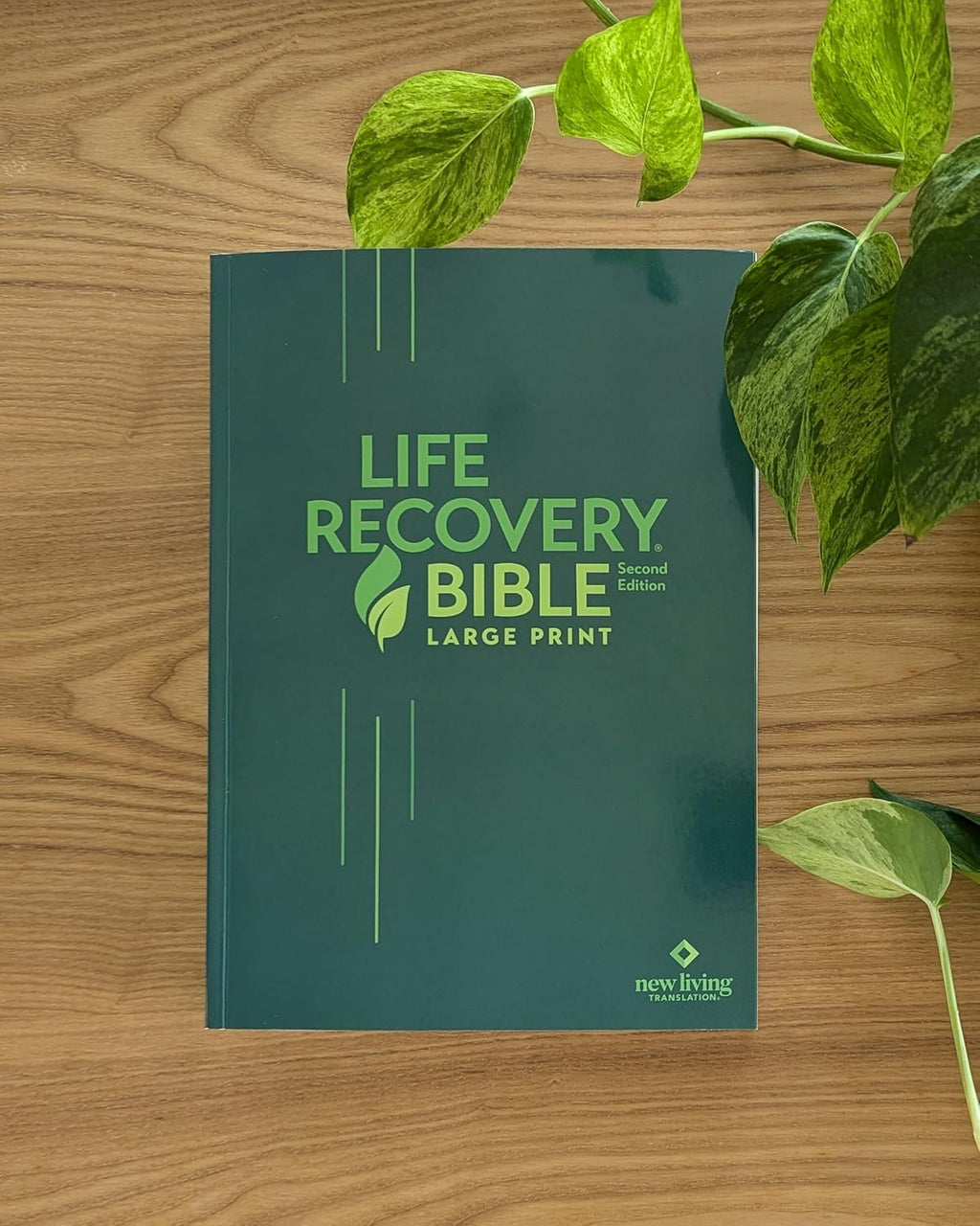 NLT Life Recovery Bible, Second Edition (Softcover): Addiction Bible Tied to 12 Steps of Recovery for Help with Drugs, Alcohol, Personal Struggles – with Meeting Guide