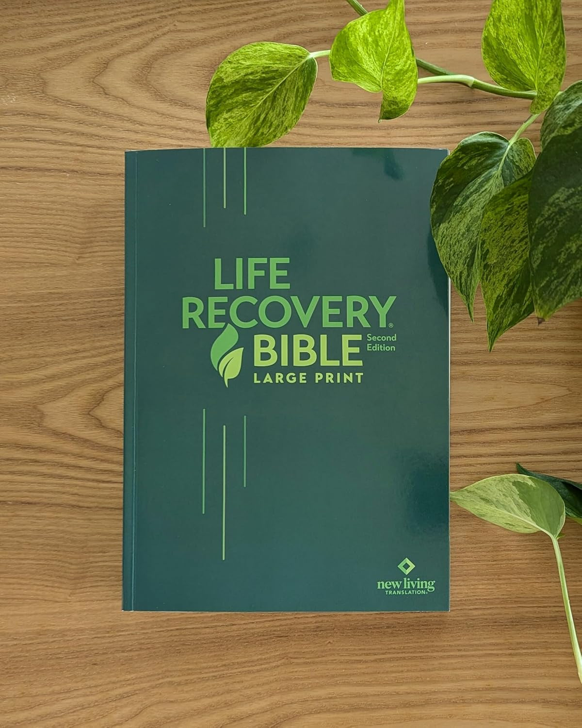 NLT Life Recovery Bible, Second Edition (Softcover): Addiction Bible Tied to 12 Steps of Recovery for Help with Drugs, Alcohol, Personal Struggles – with Meeting Guide