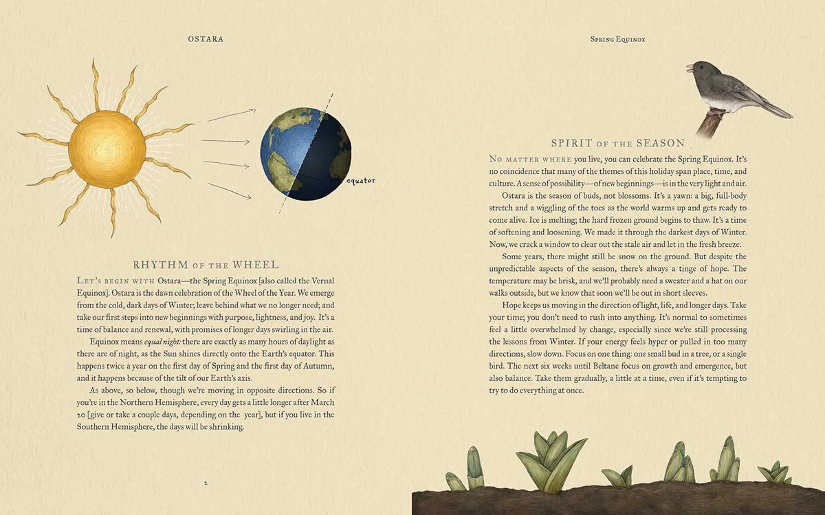 The Wheel of the Year: an Illustrated Guide to Nature'S Rhythms